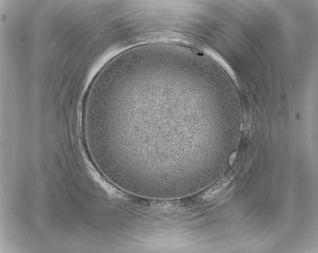 X0000059091099200510172048