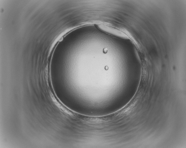 X0000059091100200510172048