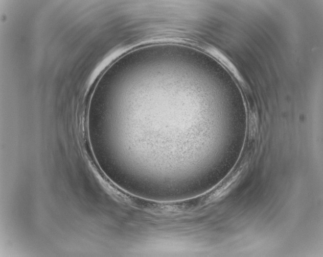 X0000059091101200510172048