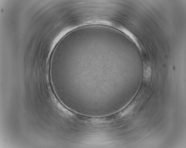 X0000059091102200510172048