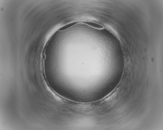 X0000059091103200510172048