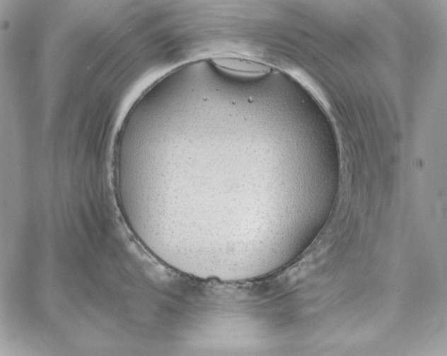 X0000059091104200510172048