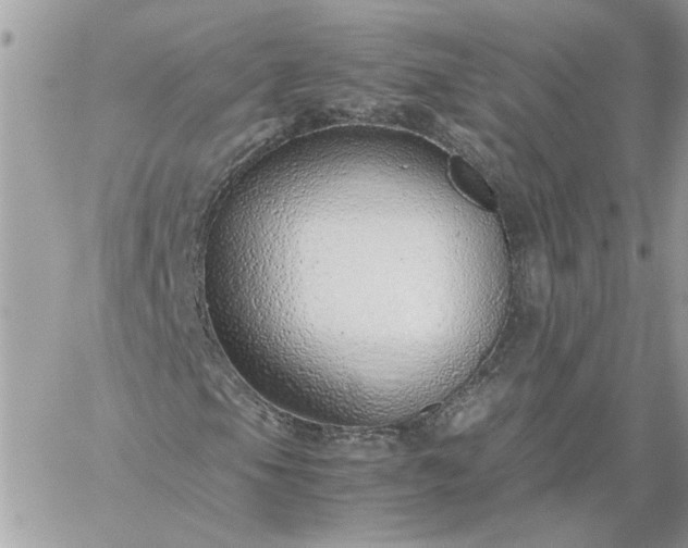 X0000059091105200510172047