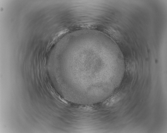 X0000059091106200510172047