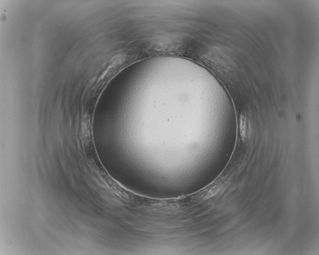 X0000059091107200510172047