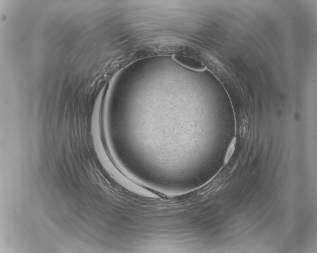 X0000059091108200510172047