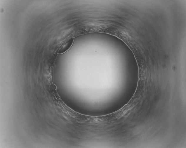 X0000059091109200510172048