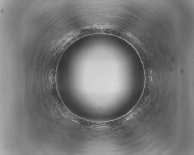 X0000059091110200510172048