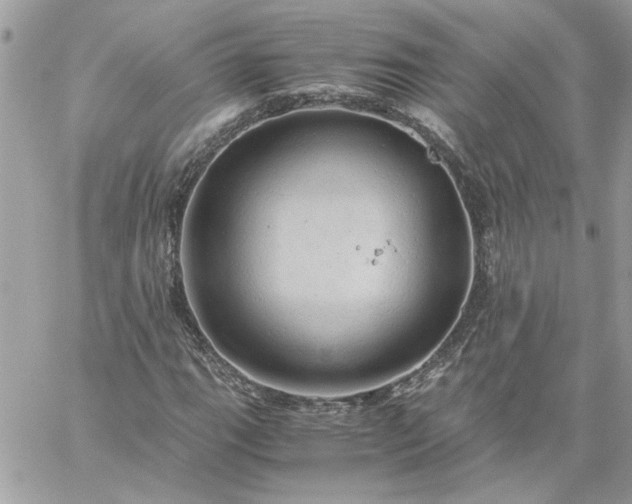 X0000059091111200510172048