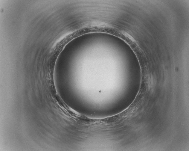 X0000059091112200510172048