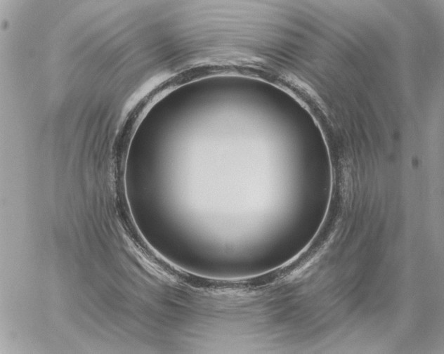 X0000059091114200510172048