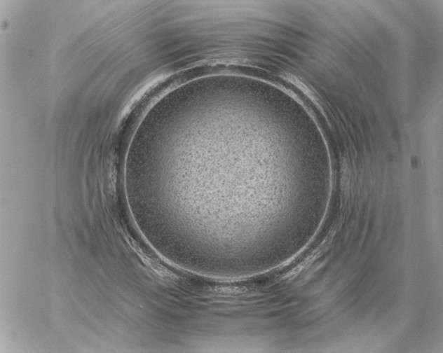 X0000059091115200510172048