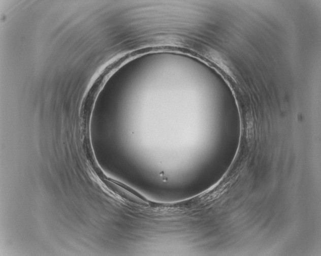 X0000059091116200510172048