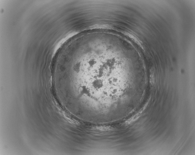 X0000059091117200510172048