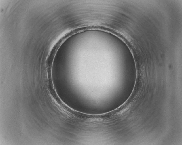 X0000059091118200510172048