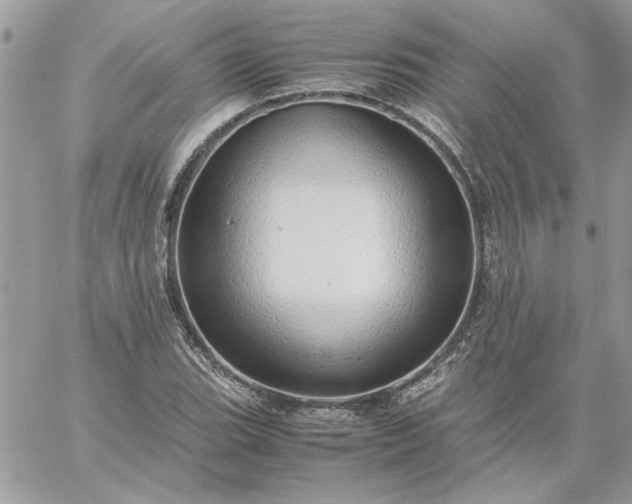 X0000059091119200510172048