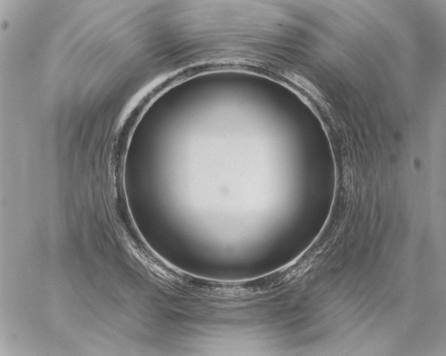 X0000059091120200510172048