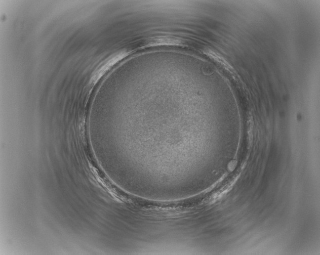 X0000059091121200510172048