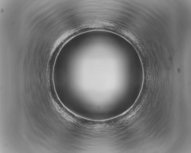 X0000059091122200510172048