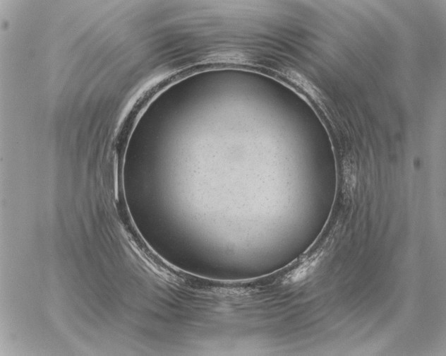 X0000059091123200510172048