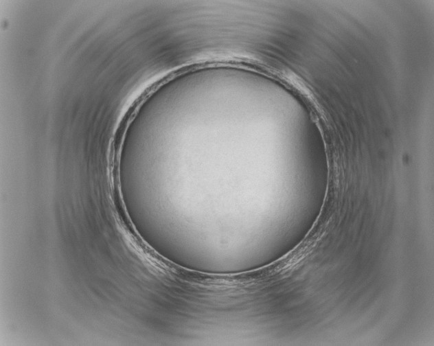 X0000059091124200510172048