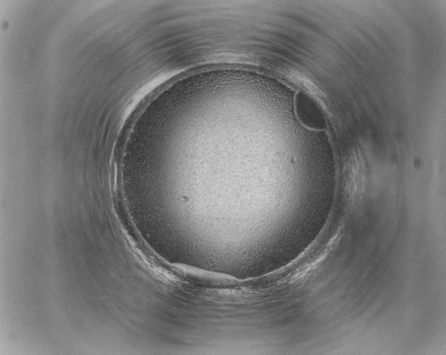 X0000059091125200510172048