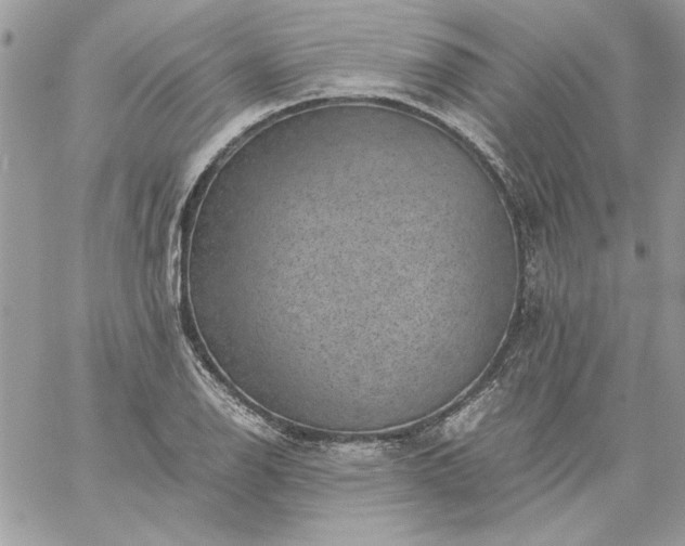 X0000059091126200510172048