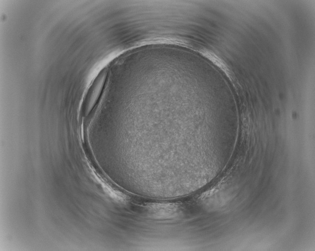 X0000059091127200510172048