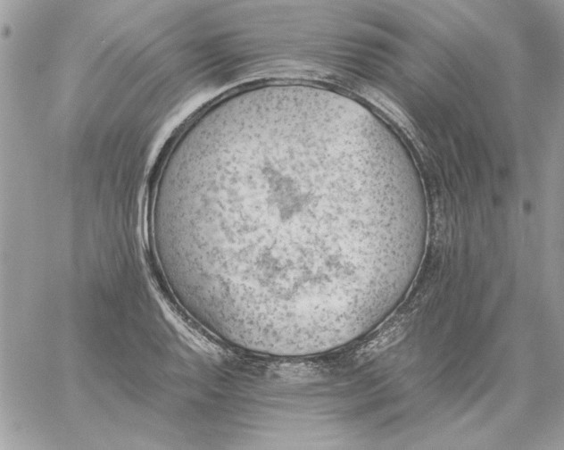 X0000059091128200510172048