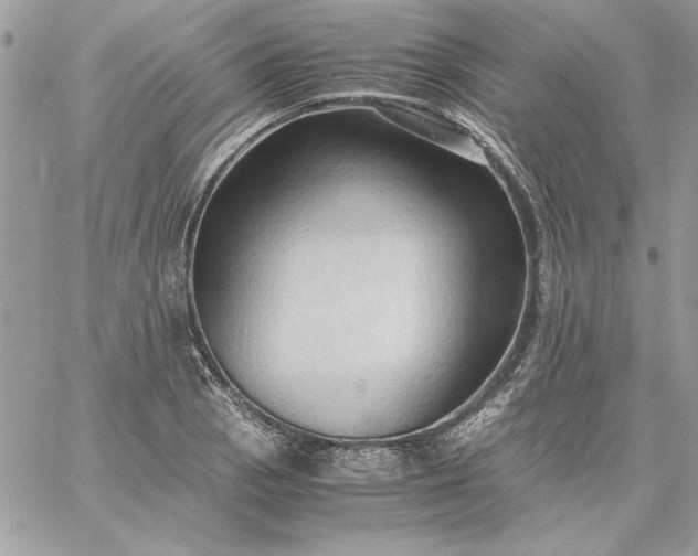 X0000059091129200510172048