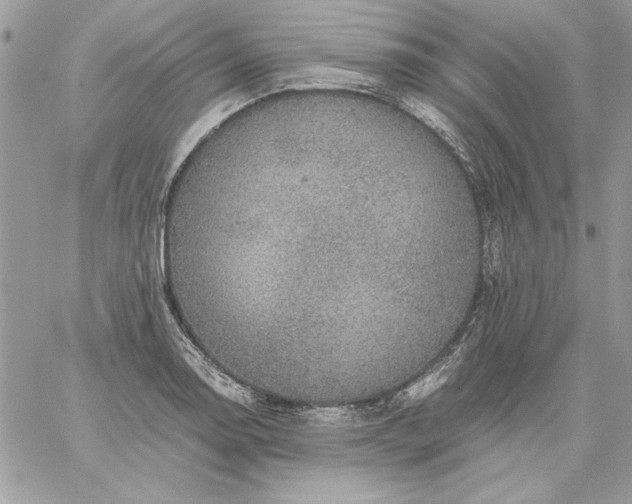 X0000059091130200510172048