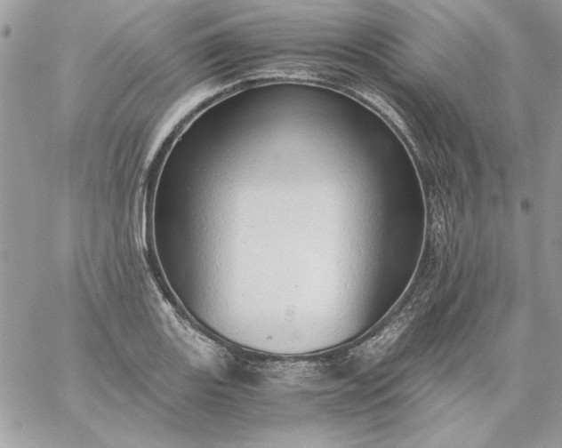 X0000059091131200510172048