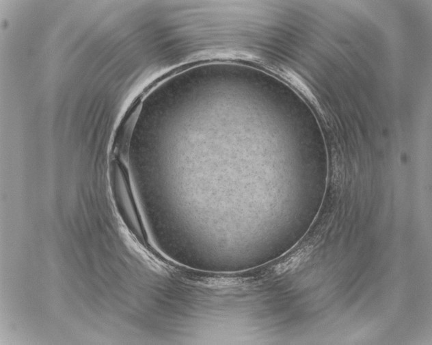 X0000059091132200510172048