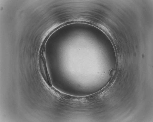 X0000059091133200510172048