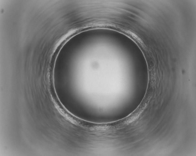 X0000059091134200510172048