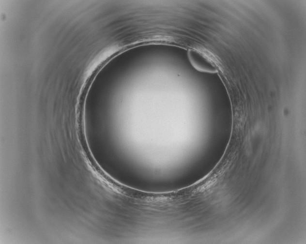 X0000059091135200510172048