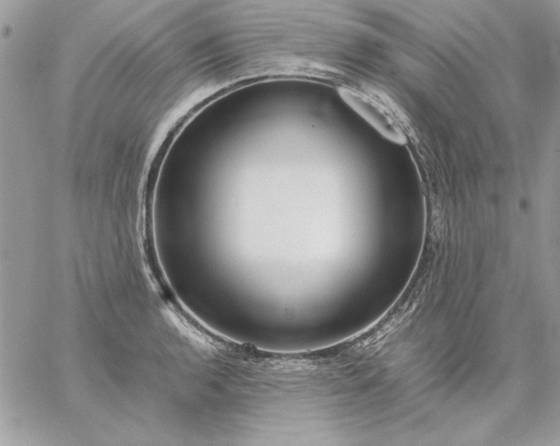 X0000059091136200510172048