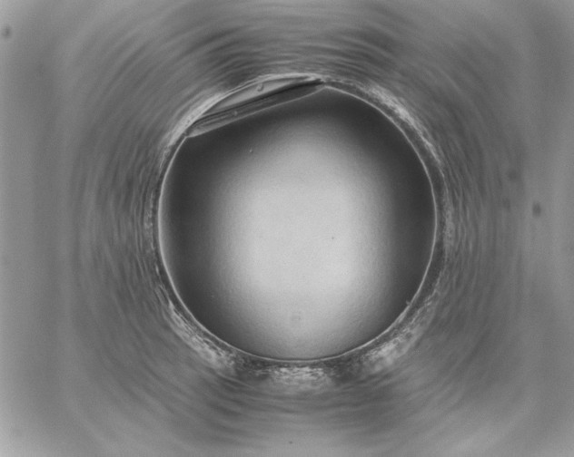 X0000059091137200510172048