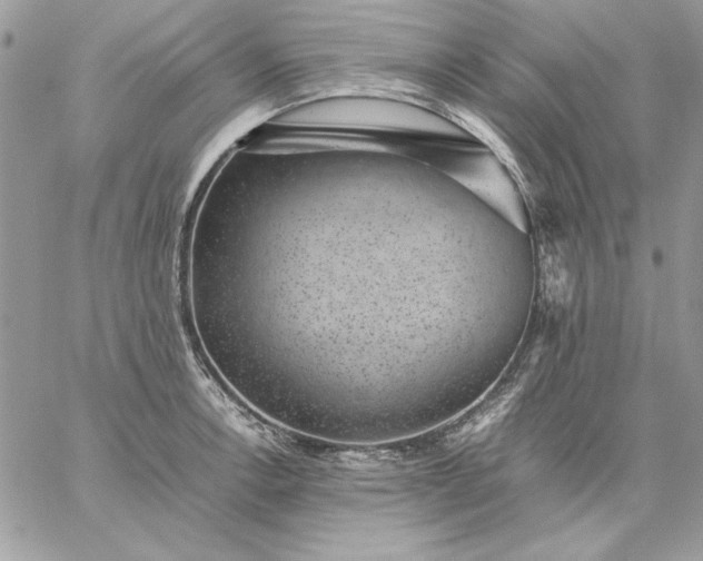 X0000059091138200510172048