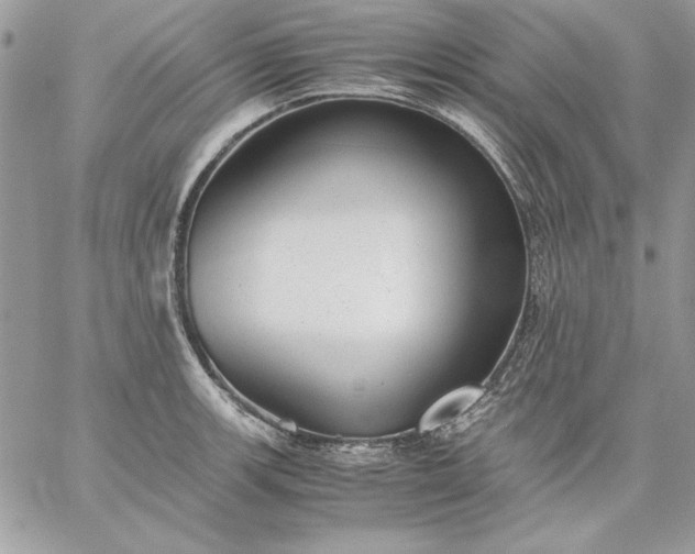 X0000059091139200510172048