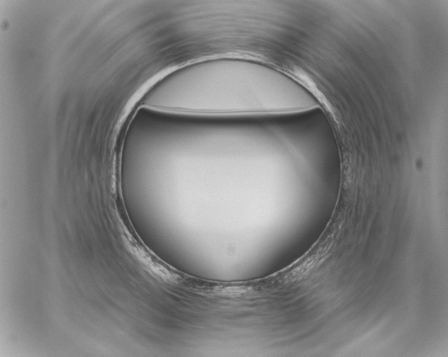 X0000059091140200510172048