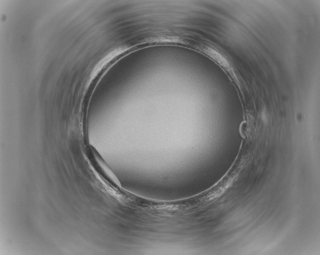 X0000059091141200510172048