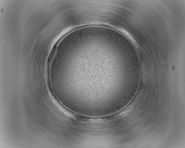 X0000059091142200510172048