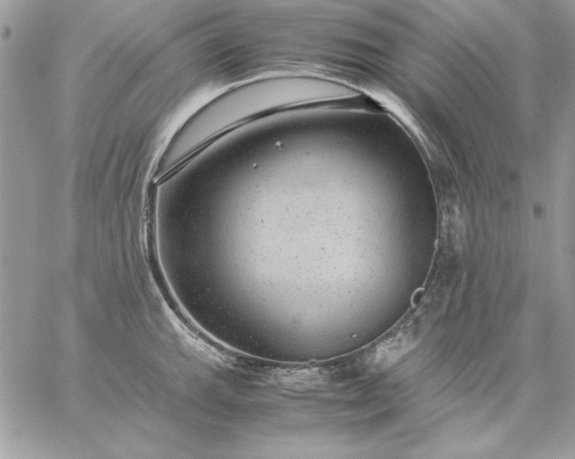 X0000059091143200510172048