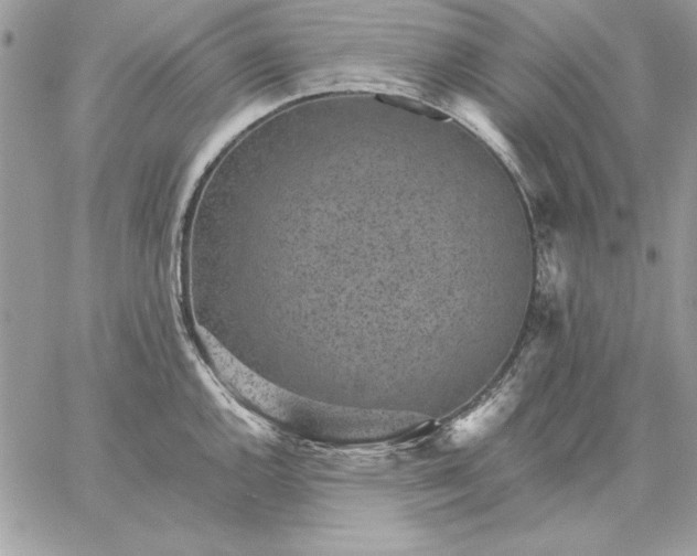 X0000059091144200510172048