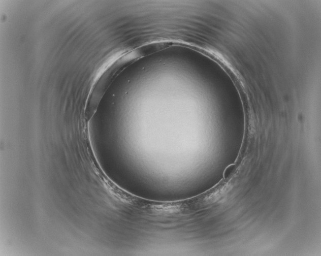 X0000059091145200510172048