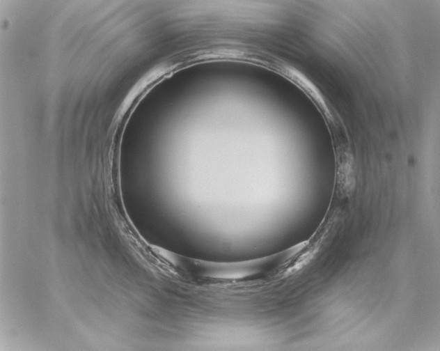 X0000059091146200510172048