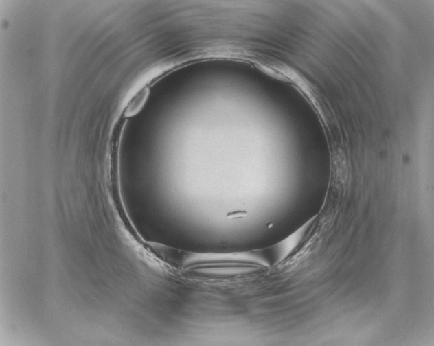 X0000059091147200510172048