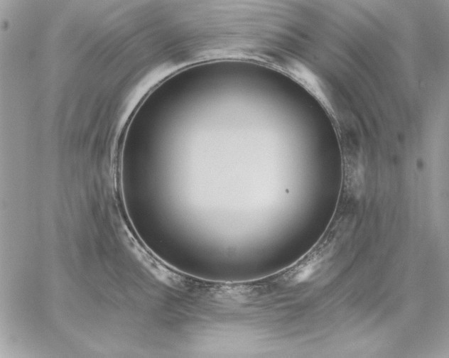 X0000059091148200510172048