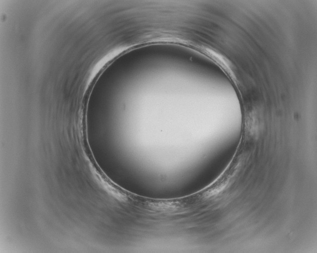 X0000059091149200510172048